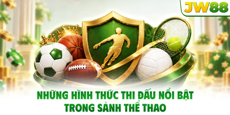 Những hình thức thi đấu nổi bật trong sảnh thể thao